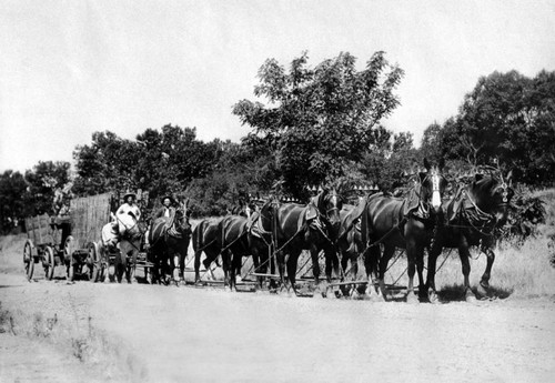 Team of horses and wagon