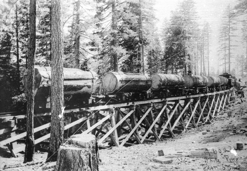 Logging Train