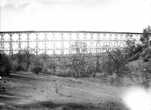 Trestle with Flume