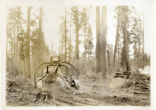 Logging Arch