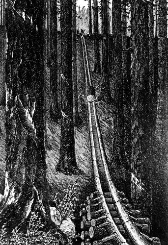 Sierra Flume and Lumber Company