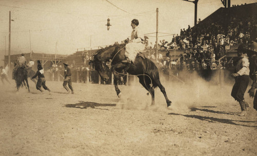 California Rodeo