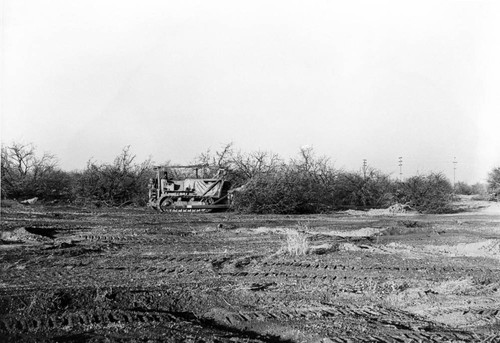 Tractors and Almond Orchards