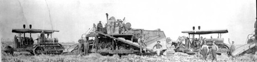 Rice harvesting south of Chico