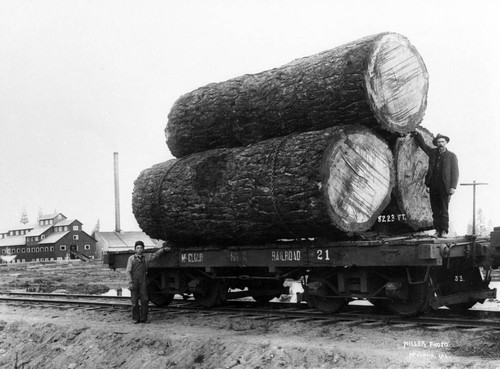 Logging Railroad and Lumber Mills