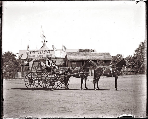 Horse and carriage