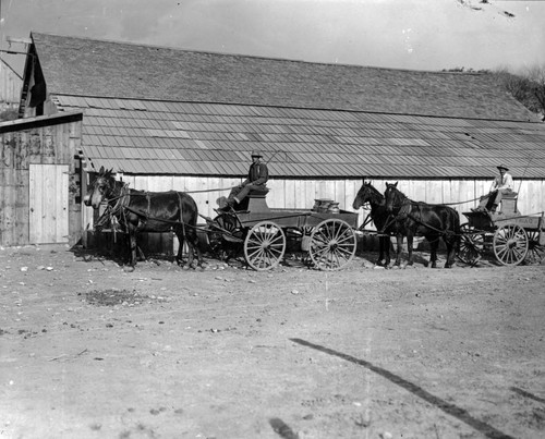 Fred Mickle Dairy Horses and Wagons