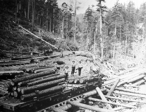 Lumber Yard