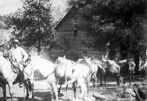 Old Rich Bar Hotel and Pack Animals