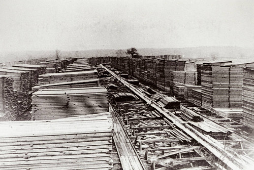 Lumber Stacks in Yard