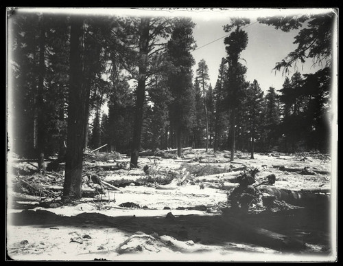 Mount Lassen