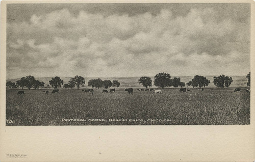 Pastoral Scene, Rancho Chico