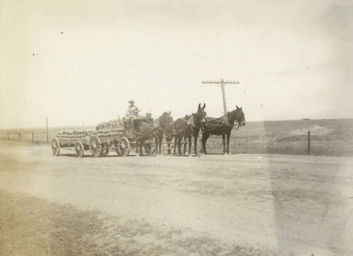 Two wagons pulled by horses and mules