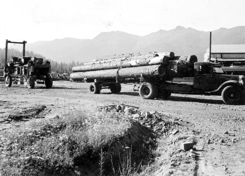 Logging trucks in Plumas National Forest