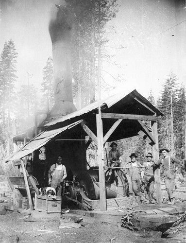 Loggers with Donkey Steam Engine