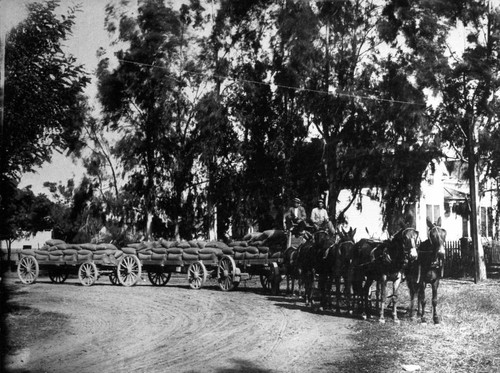 Grain Wagons