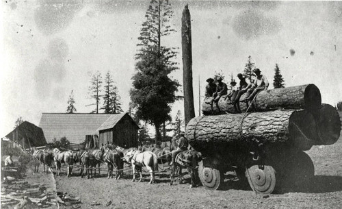 Log Wagon