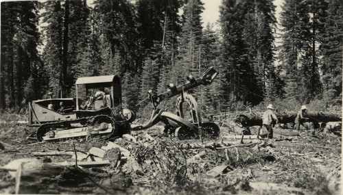 Logging from the McCloud River Lumber CO