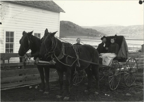 Horse and Buggy Portrait