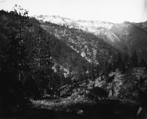 Looking Down Mill Creek from Fales Hill