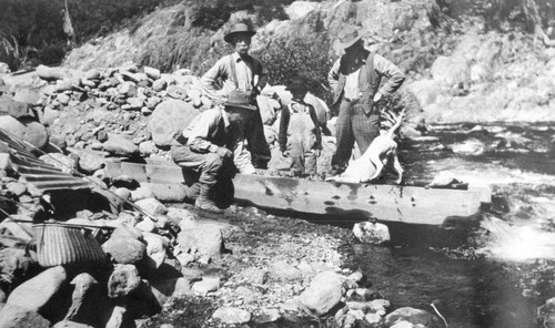 Men and dog investigating a sluice box