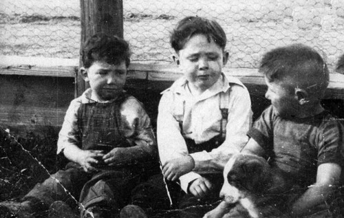 Three young boys with puppy