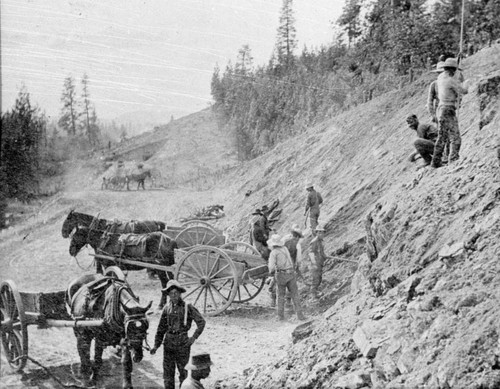 Horse Carts Building Road Bed