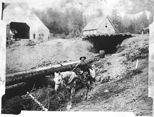 Boy riding horse at lumber camp