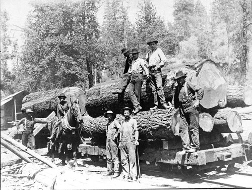 Logging Work Crews