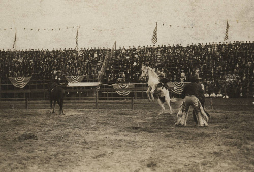 John Dobbins, Cal Rodeo