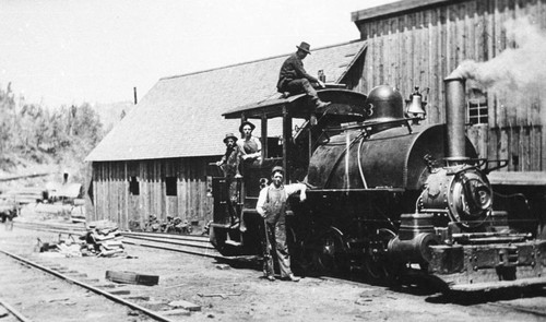Diamond meter-gauge locomotive