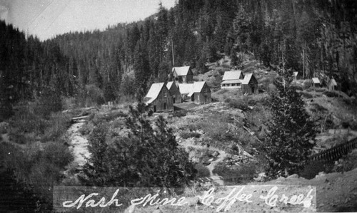 Nash Mine