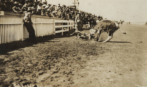 California Rodeo