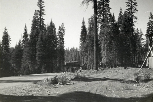 Pondosa Trestle & Loading Shed