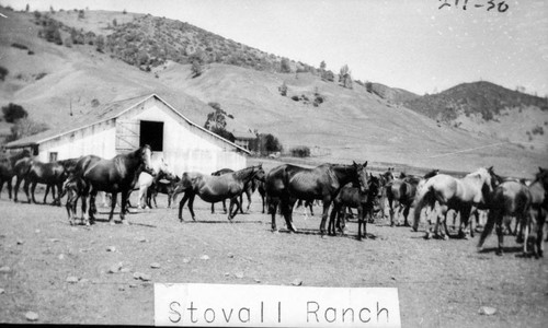 Stovall Ranch