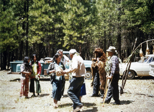 Greenville Bear Dance