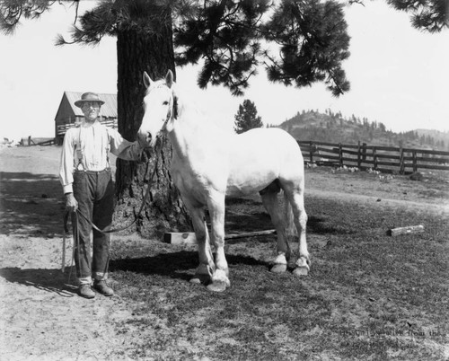 Farmer with horse