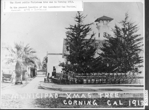 Municipal Christmas Tree