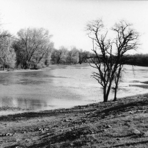 Pond Area of the Adelaide Afterbay