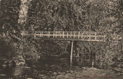 Footbridge -Big Chico Creek