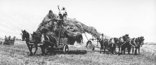 Harvesting Machinery