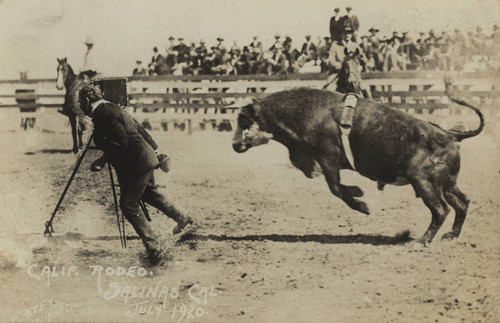 California Rodeo