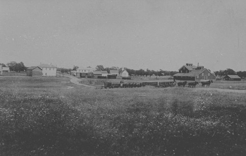 Pasture Scene in Kirkwood