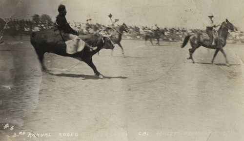 John Dobbins, Livermore Rodeo