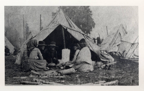 Camp in Hop Fields