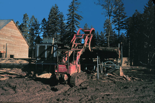 Loading logs at Soper-Wheeler Company