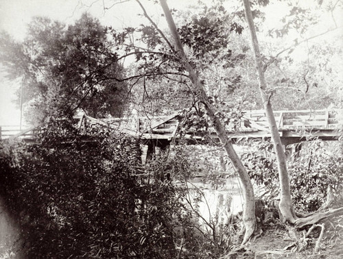 Scene on Antelope Creek