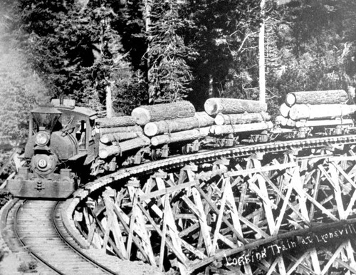 Lyonsville Logging Train