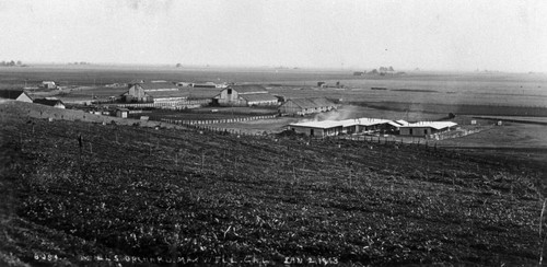 Maxwell Mills Orchard