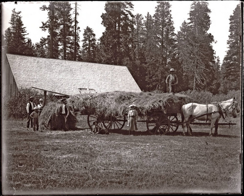 Wagon filled with hay